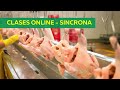 CURSO IMPLEMENTACIÓN Y AUDITORÍA DE LAS BPM, HIGIENE, POE, POES Y PLAN HACCP – ON LINE