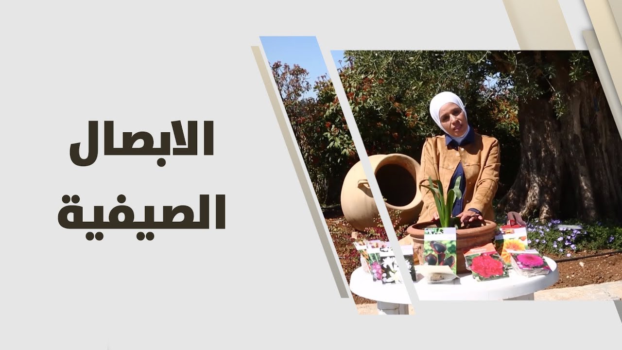 م. امل القيمري - الابصال الصيفية - زراعة وبيئة