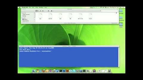 CHMOD Tutorial with Example and Description
