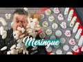 Unox Home Baking  #4 | Meringue