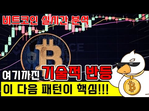 비트코인 실시간 방송) 이제 기대해도 되는거야?