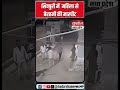 Shivpuri Viral Video : महिला से बेरहमी की मारपीट का VIDEO वायरल