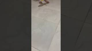 بعرفكم على لعبة النسر screenshot 5