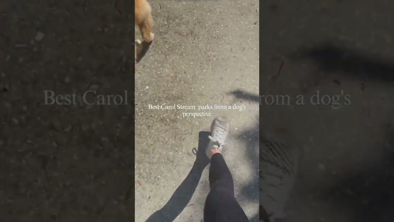 Best  Carol Stream  Dog Parks ~ A Dog's POV