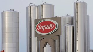 COVID-19 has not slowed down our hunger for deals: Saputo CEO