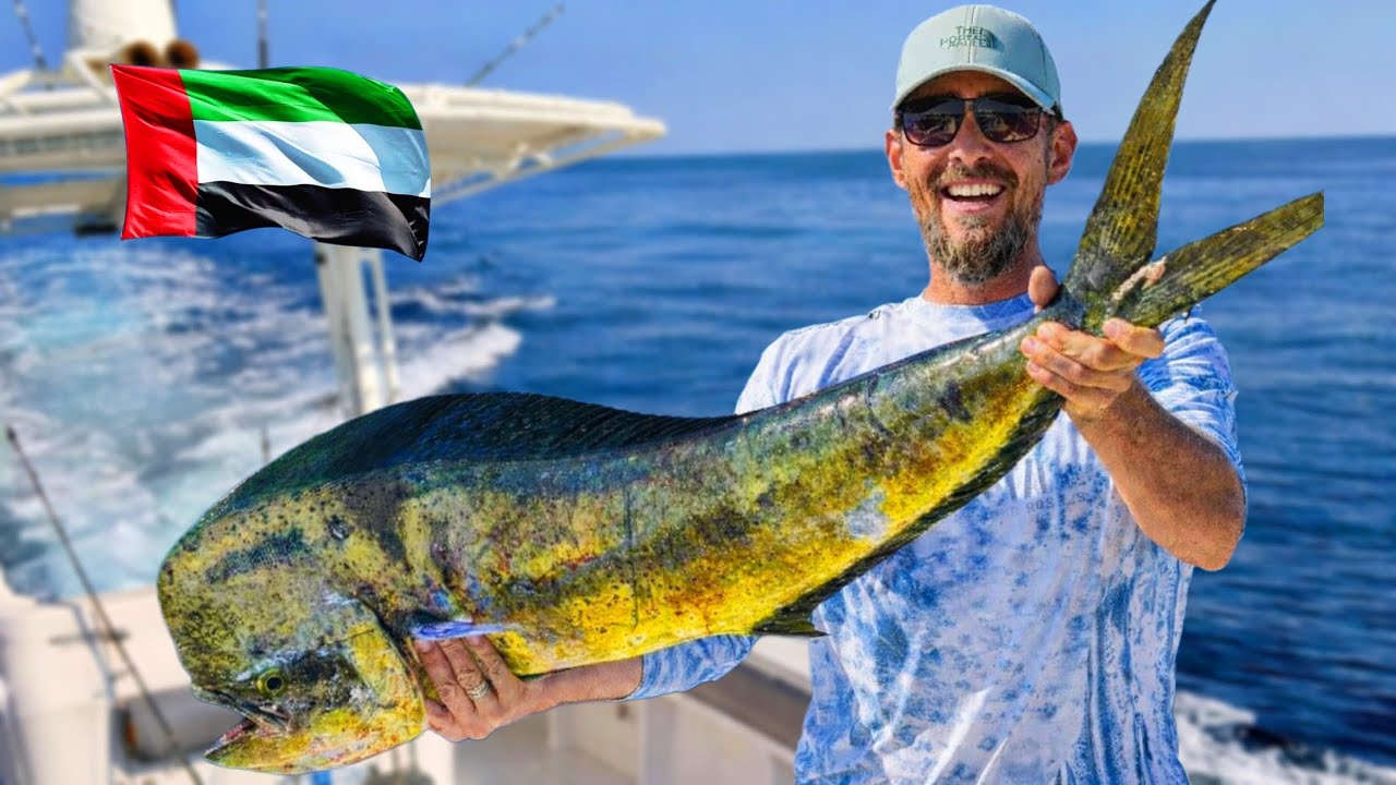 ПОЧЕМУ ТУДА ЕДУТ 