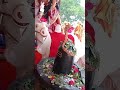 Mela Live Love Festival Vlog Mela Live Love Festival Vlog