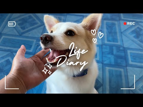 Week in my Life. Work. Playing with Aki. Getting a foot massage. Cleaning and fixing. | Iris Maningo