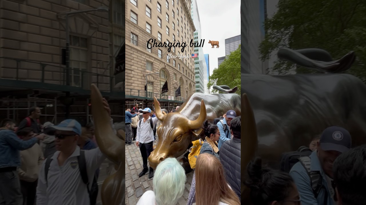 Charging bull🇺🇸 