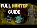 OSRS 1 99 Hunter Guide 2026