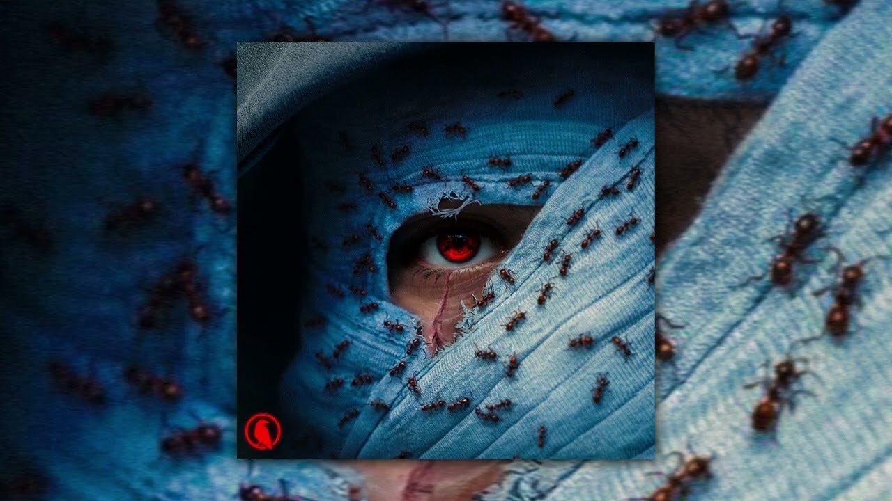 Guarda Bandra - Naruto (Official Audio) su YouTube Guarda Bandra - Naruto (Official Audio) su YouTube