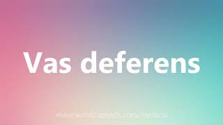 Vas deferens - Medical Meaning and Pronunciation