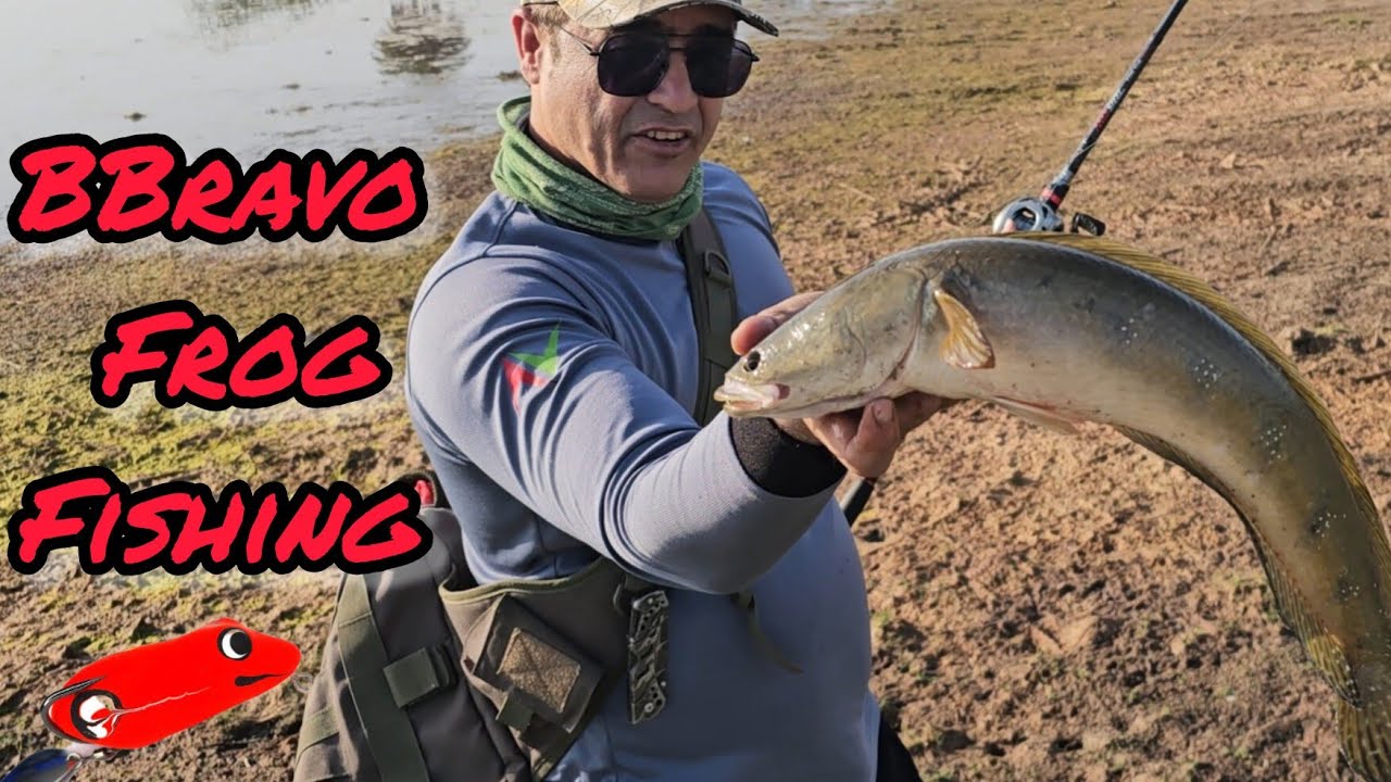 Amazing snakehead Village fishing|Maral masa machli kaise pakde||fishing video ||