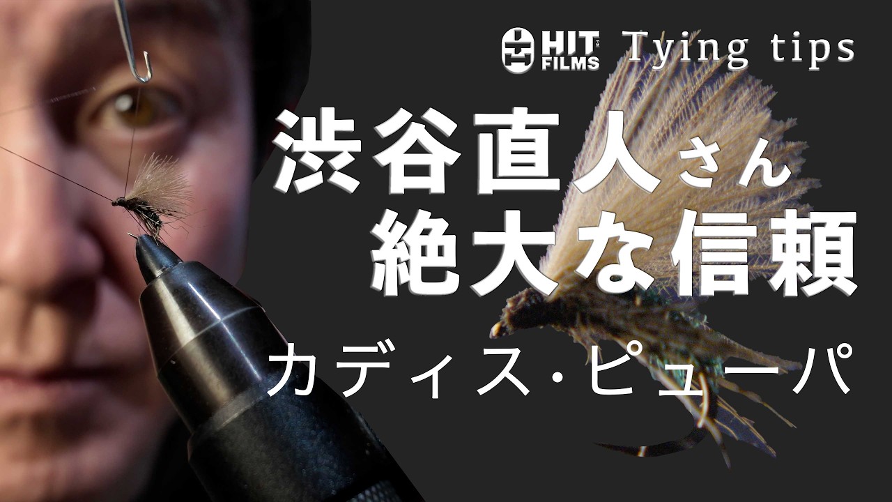 Tying tips 渋谷直人~CADDIS PUPA~｜フライフィッシング｜フライタイイング｜4K 大画面推奨｜字幕(cc/クローズドキャプション)対応