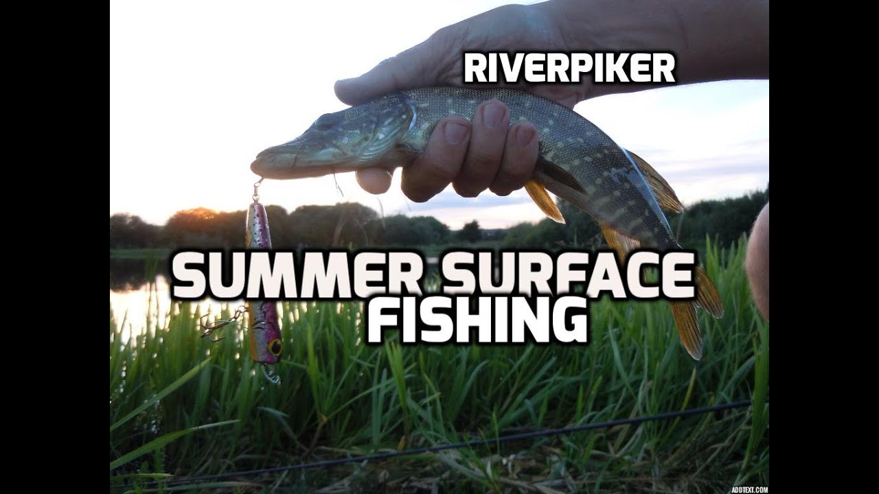 Pike fishing Summer surface lure fishing for pike (video 3) YouTube