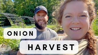 Big Onions & tiny babies | Garden Harvest 🧅🥒🍅