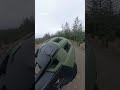 Laps of Hamsterly forest yesterday 🤩💨
