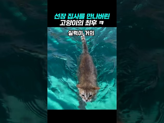 선장 집사를 만나면 이렇게 변해버린다고 ㅋ