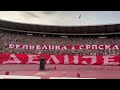 Crvena zvezda-Cukaricki, proslava titule 3