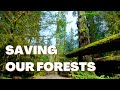 Why saving forests is the imperative of our time