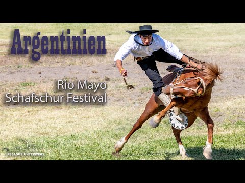 Video: Equitrekking Zeigt Die Welt Vom Pferderücken Aus - Matador Network