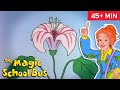 Goes to Seed | Gets Planted | Full Episodes | The Magic School Bus | Scholastic Classic