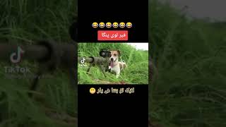 Whatsapp İçin Komik Status