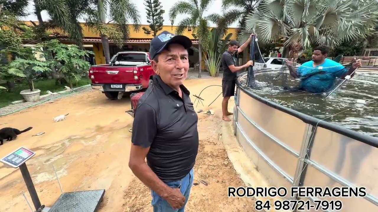 TRANSFERÊNCIA DE PEIXES E PESAGEM TOTAL DO TANQUE.NÃO PERCAM ESSE VÍDEO!!