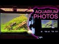 Comment faire photographier un aquarium