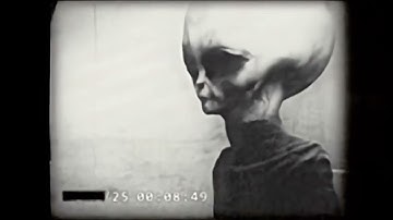 Skinny Bob Enhanced 60FPS