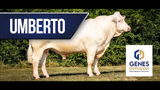 Umberto - Incontournable Pour Le Renouvellement