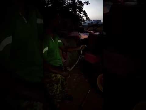 camera iphone 8 plus apk Rescued Spectacled cobra from a tractor's hot engine.