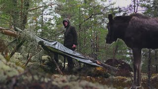 Rainy Overnight Camping Under Fallen Tree | Bushcraft Survival Shelter, Moose, Cooking, Relaxing
