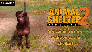 Let's Play: Animal Shelter Simulator 2 (Episode 1: MORE SHAMPOO)