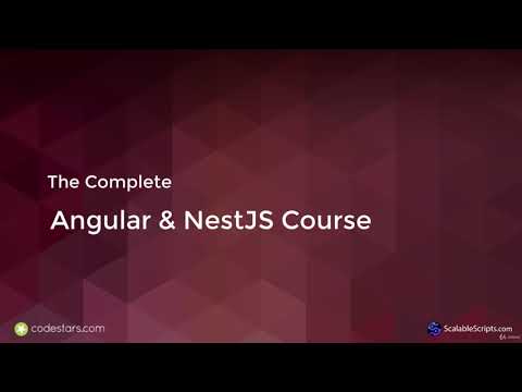 Introduction - The Complete Angular & NestJS Course