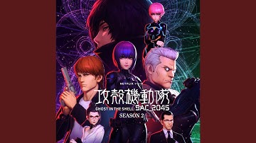 The Net is Vast and Infinite