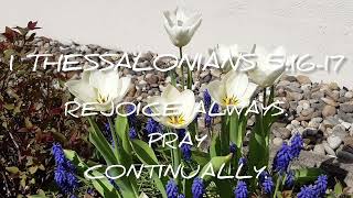 1 Thessalonians 516-17-Pray Continually
