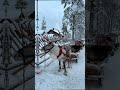 Russia🇷🇺🪆