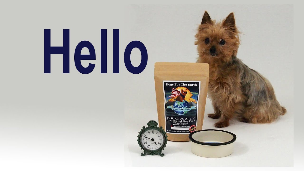 organic dehydrated dog food