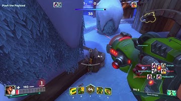 Paladins Linux Wine (steam version)