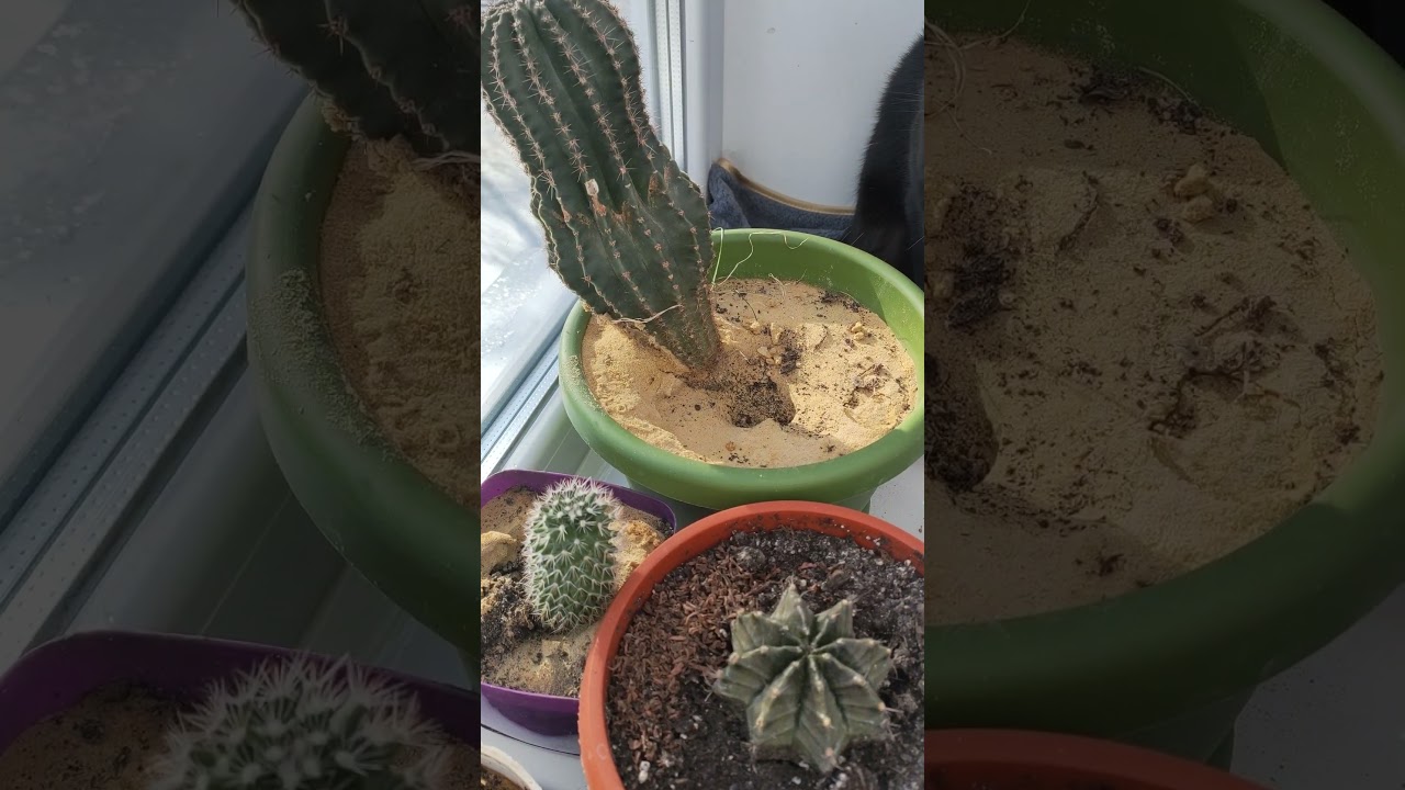 Уберешь потом, а я поиграюсь посижу...) 