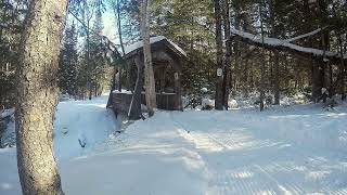 Rabbit Trail Reflections: A Snowy Walk to 432Hz Music