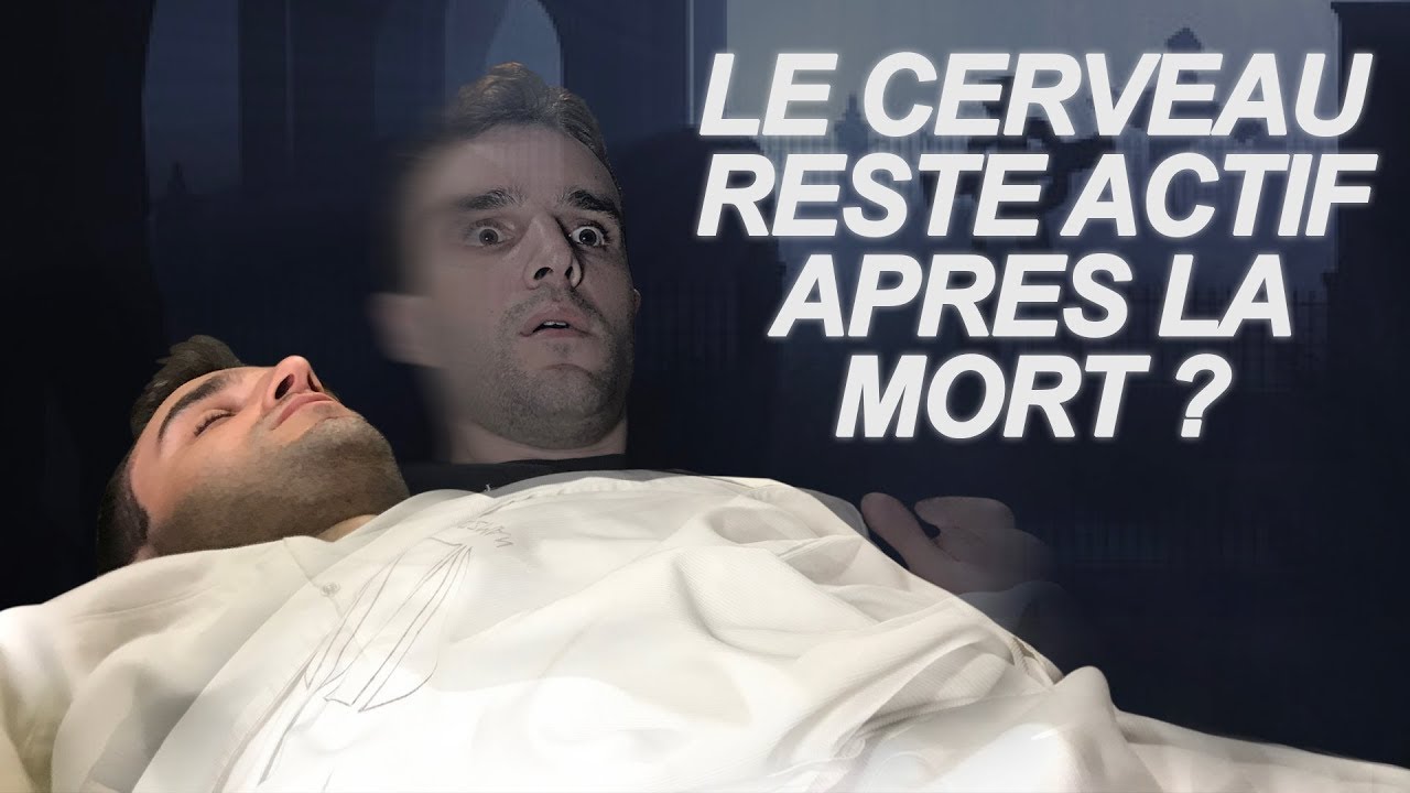 LE CERVEAU RESTE ACTIF APRÈS LA MORT ? Vrai Ou Faux #43