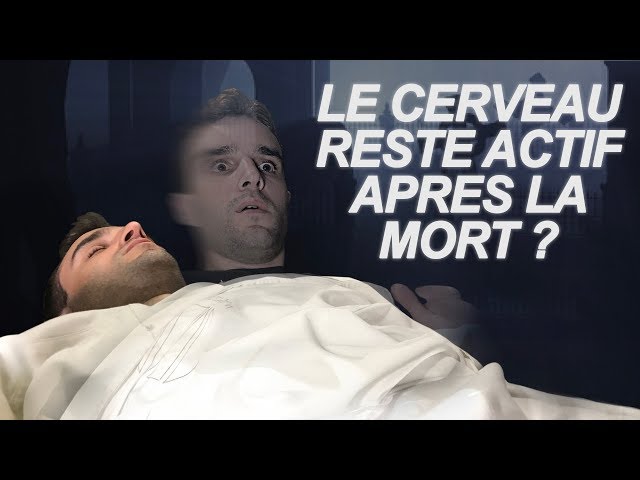 Dr nozman le cerveau reste actif apres la mort ? vrai ou faux 43