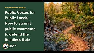 Public Voices for Public Lands: How to submit public comments to defend the Roadless Rule