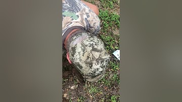 Setting the Cinch gopher/mole trap