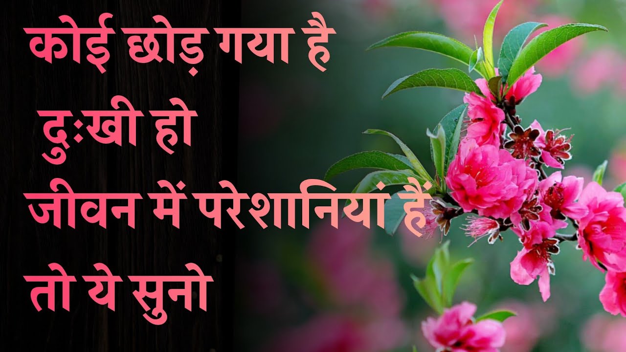 कुछ अनमोल बातें जो आपको जीवन जीना सिखा देंगी। 