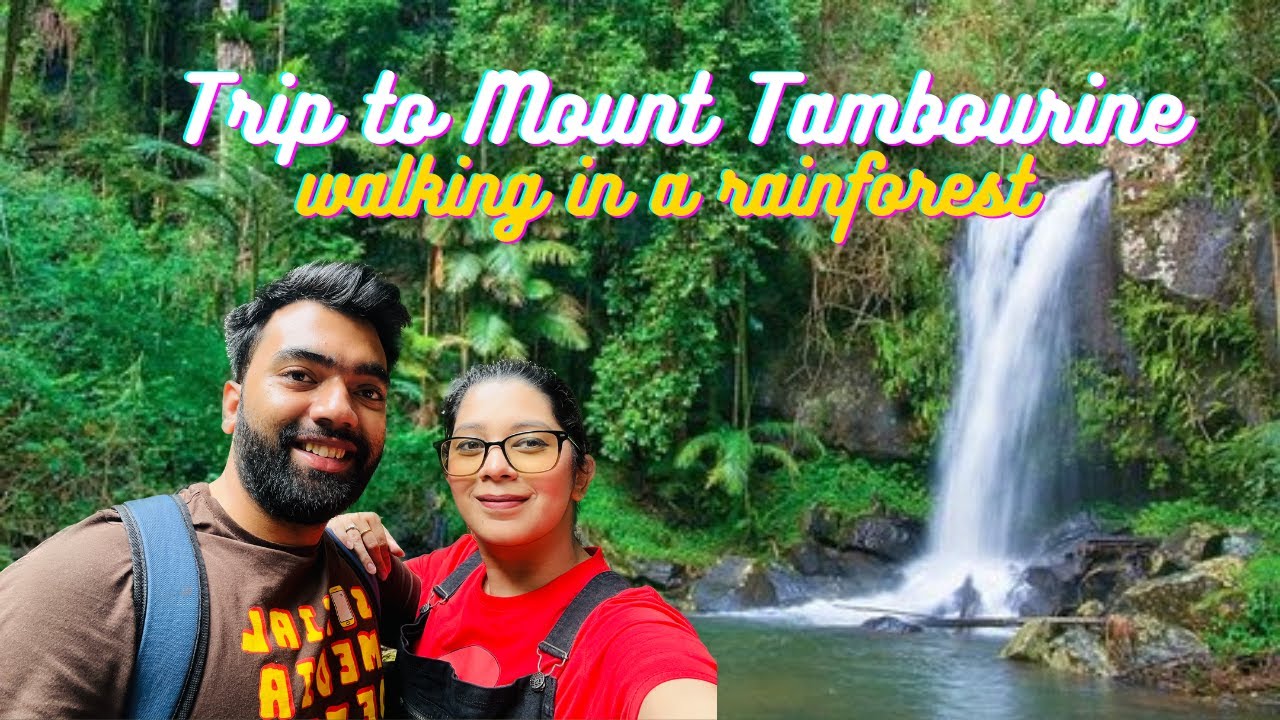 Mount Tambourine Walk through the Rainforest Waterfall Day Trip