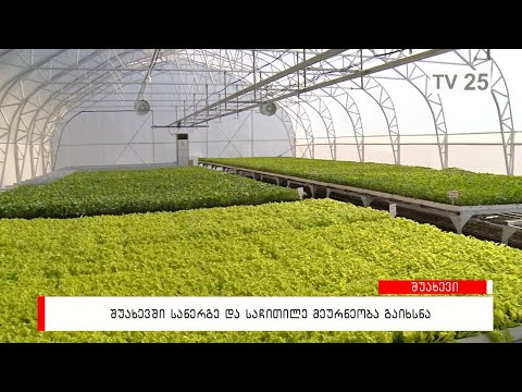 შუახევში სანერგე და საჩითილე მეურნეობა  გაიხსნა