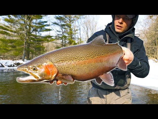 Float Fishing for Great Lakes Steelhead - Spring 2022 